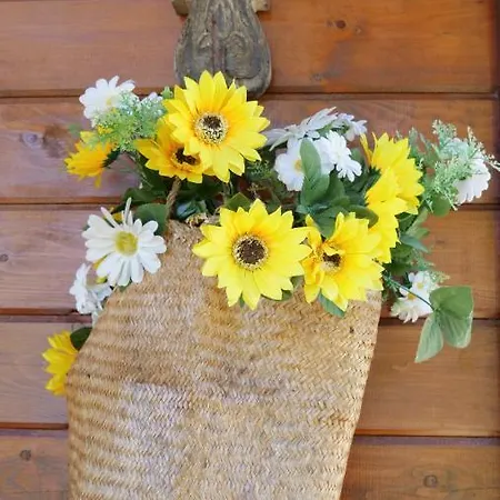 Domek alpejski Casa Margarida, Quinta Carmo - - Nazare *