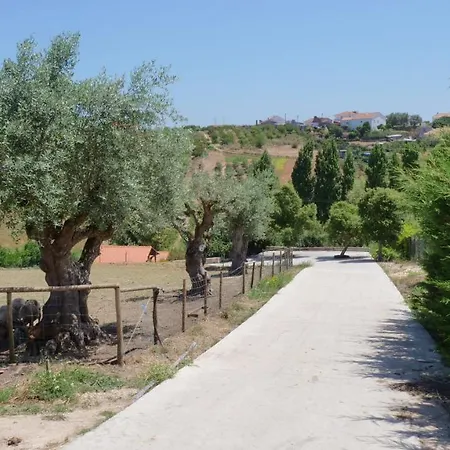 Casa Margarida, Quinta Carmo - - Nazare * Alcobaça