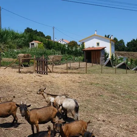 Casa Margarida, Quinta Carmo - - Nazare *