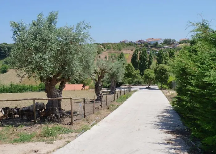 Casa Margarida, Quinta Carmo - - Nazaré * Alcobaça