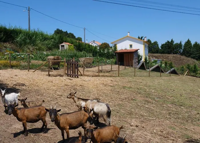 Casa Margarida, Quinta Carmo - - Nazaré *
